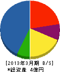北日本水研 貸借対照表 2013年3月期