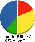 川本技研工業 貸借対照表 2009年3月期