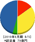 石川建設 貸借対照表 2010年6月期