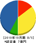 青島冷凍工業 貸借対照表 2010年10月期