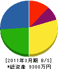 長岡移動電話システム 貸借対照表 2011年3月期