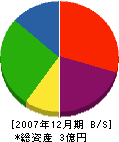 藤沢建設 貸借対照表 2007年12月期