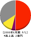 東日本緑化興業 損益計算書 2008年6月期