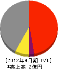 隅田建設 損益計算書 2012年9月期