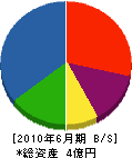 小松 貸借対照表 2010年6月期