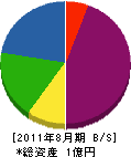 藤松睦 貸借対照表 2011年8月期
