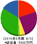 長谷川電機 貸借対照表 2010年8月期