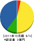 稲亀緑花 貸借対照表 2011年10月期