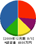 窪田造園 貸借対照表 2009年12月期
