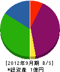 湘北電気工事 貸借対照表 2012年9月期