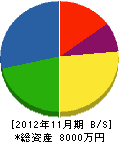 伊藤ライニング 貸借対照表 2012年11月期