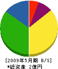 鎌田設備工業 貸借対照表 2009年5月期