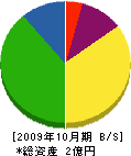 川尻電気 貸借対照表 2009年10月期