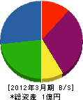 橋本ターフ・コントロール 貸借対照表 2012年3月期