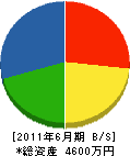 辻緑化土木 貸借対照表 2011年6月期