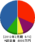 田中建設 貸借対照表 2012年2月期