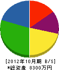 高矢組 貸借対照表 2012年10月期