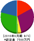 山田設備 貸借対照表 2010年6月期