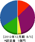 カワキタ 貸借対照表 2012年12月期
