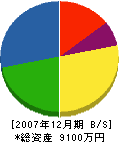浜名鉄工 貸借対照表 2007年12月期