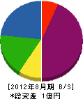 藤松睦 貸借対照表 2012年8月期