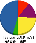 斎藤設備 貸借対照表 2012年12月期