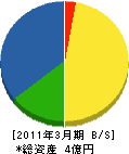 丸正久保総業 貸借対照表 2011年3月期