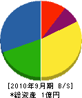 高千穂通商 貸借対照表 2010年9月期