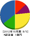 松本石材建設 貸借対照表 2012年10月期