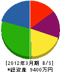 豊見山鉄工 貸借対照表 2012年3月期