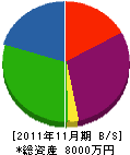 片倉管工 貸借対照表 2011年11月期