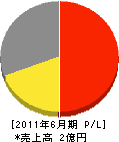 宇田川電気工業所 損益計算書 2011年6月期