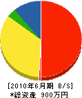 栃木緑創 貸借対照表 2010年6月期