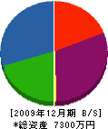 曽我組 貸借対照表 2009年12月期