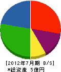 山添電気 貸借対照表 2012年7月期