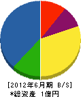 北日本道路企画 貸借対照表 2012年6月期