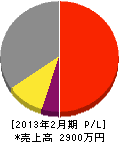 篠﨑電気工事 損益計算書 2013年2月期