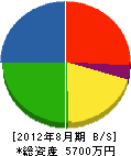 鴇田建築 貸借対照表 2012年8月期