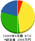 山友 貸借対照表 2009年9月期