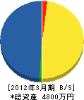 マルエイ柴田土建 貸借対照表 2012年3月期