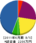 佐賀畳工業 貸借対照表 2011年6月期