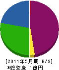 桜井組 貸借対照表 2011年5月期