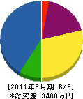 藤岡試掘 貸借対照表 2011年3月期