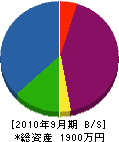 永村松花園 貸借対照表 2010年9月期