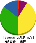 津総合設備 貸借対照表 2009年12月期