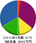 今井電気商会 貸借対照表 2012年9月期