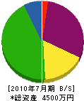 矢野産業 貸借対照表 2010年7月期