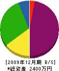 松井板金 貸借対照表 2009年12月期
