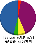 入江電機商会 貸借対照表 2012年10月期