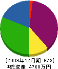 元田組 貸借対照表 2009年12月期